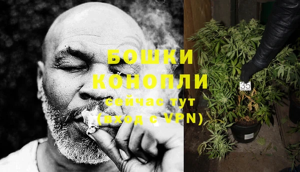 PSILOCYBIN Нея