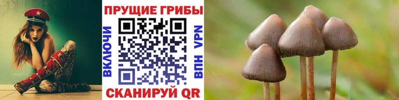 Галлюциногенные грибы ЛСД  цена наркотик  МЕГА ТОР  Уссурийск 